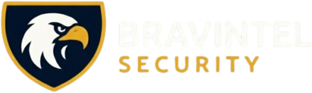 bravintel-security-logo-light